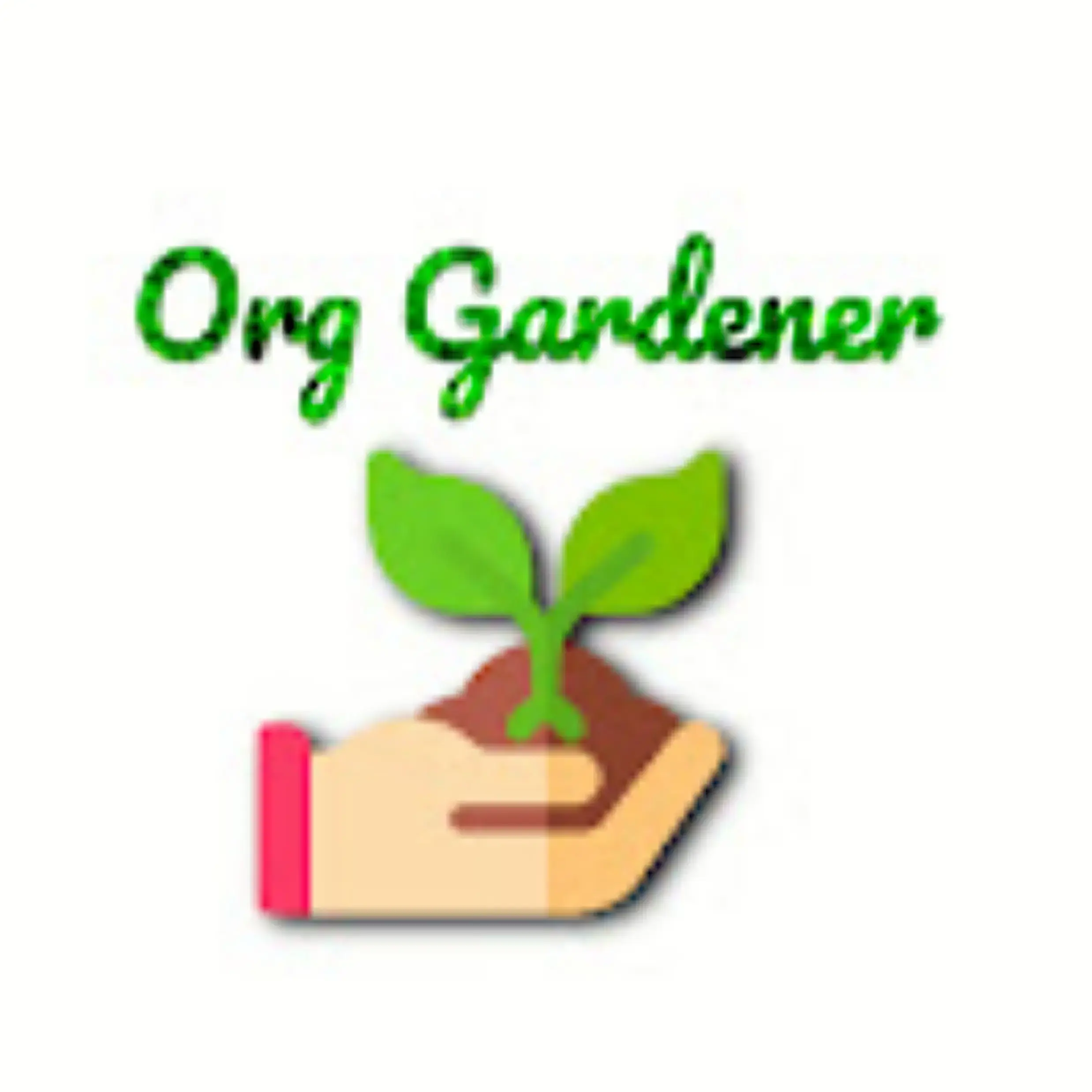 store logo